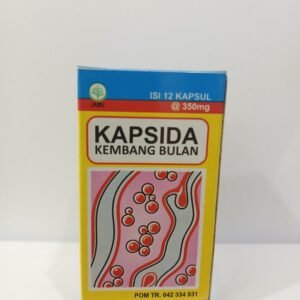 Kapsida